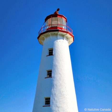 PEI-Lighthouse-Tour-TOP-
